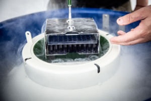 Close-up von einem mit Stickstoffnebel gefüllten Labortank, in dem Proben mit Flüssigkeit pipettiert werden.